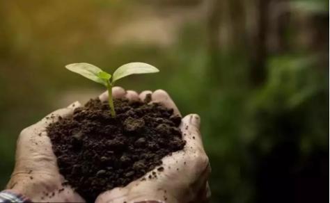 修复土壤,改善环境,帮助作物提质增效.微生物肥料都能做到!